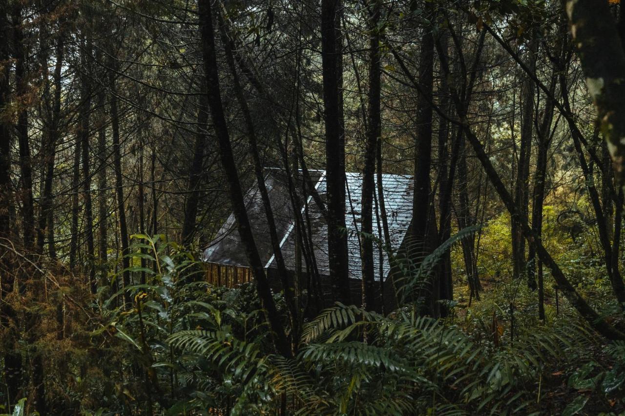 Oculto Refugio De Bosque Hotel Envigado Kültér fotó
